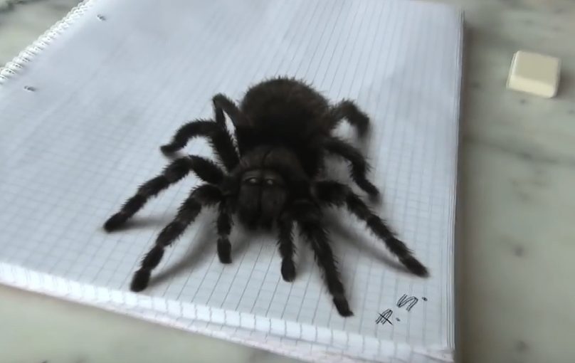 Incredible 3D Drawings