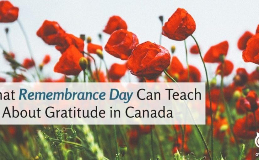 What Remembrance Day Can Teach Us About Gratitude