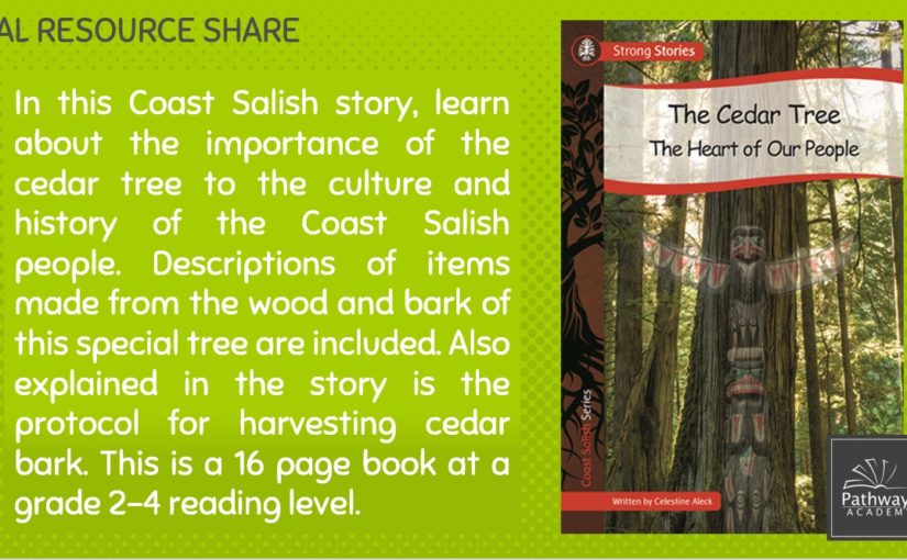PAL Highlight – The Cedar Tree – The Heart Of Our People