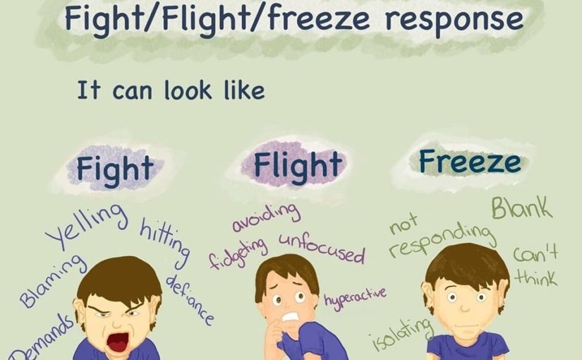 Responses to Anxiety