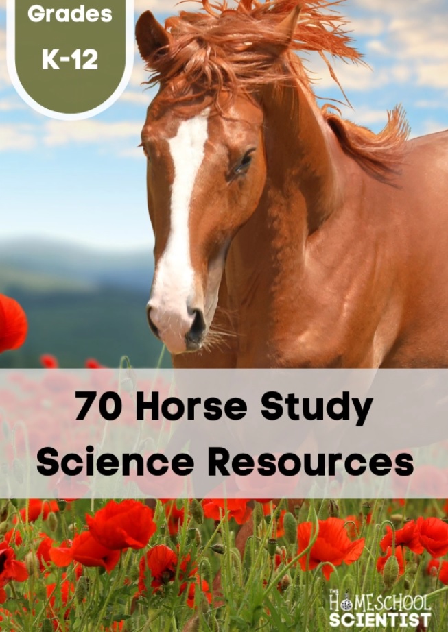 Horse Study Science Resources