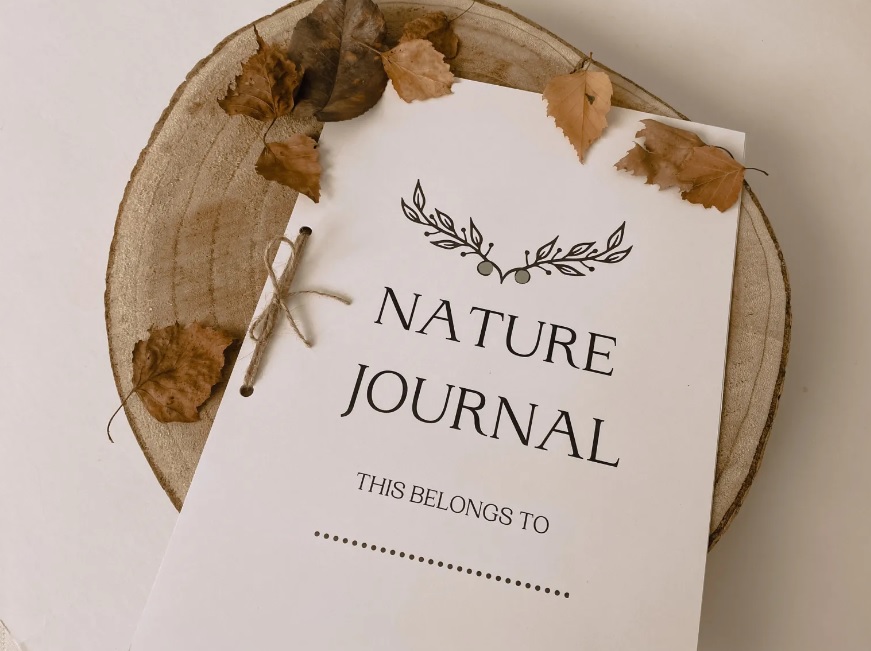Free Printable Nature Journal