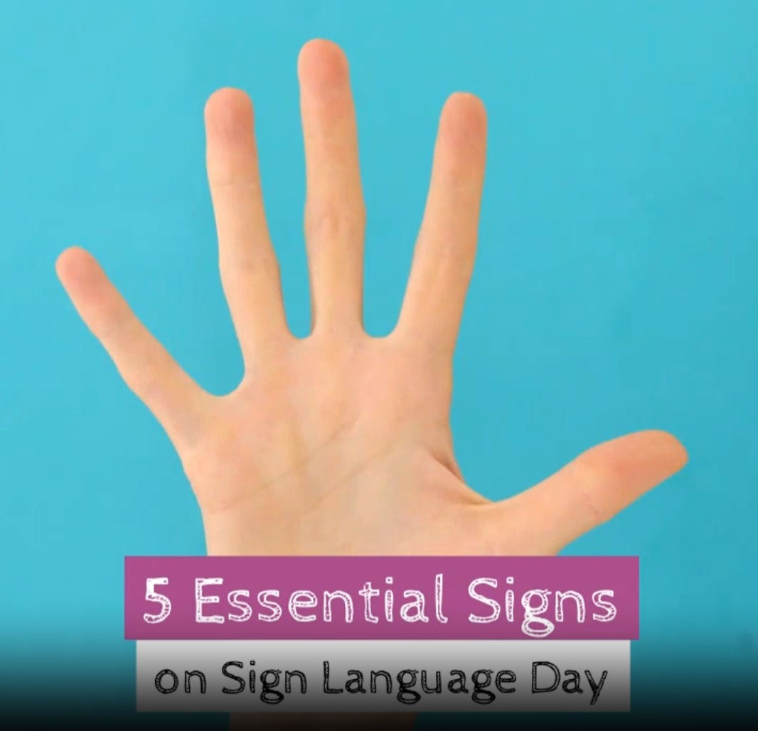5 Essential Signs in Sign Language