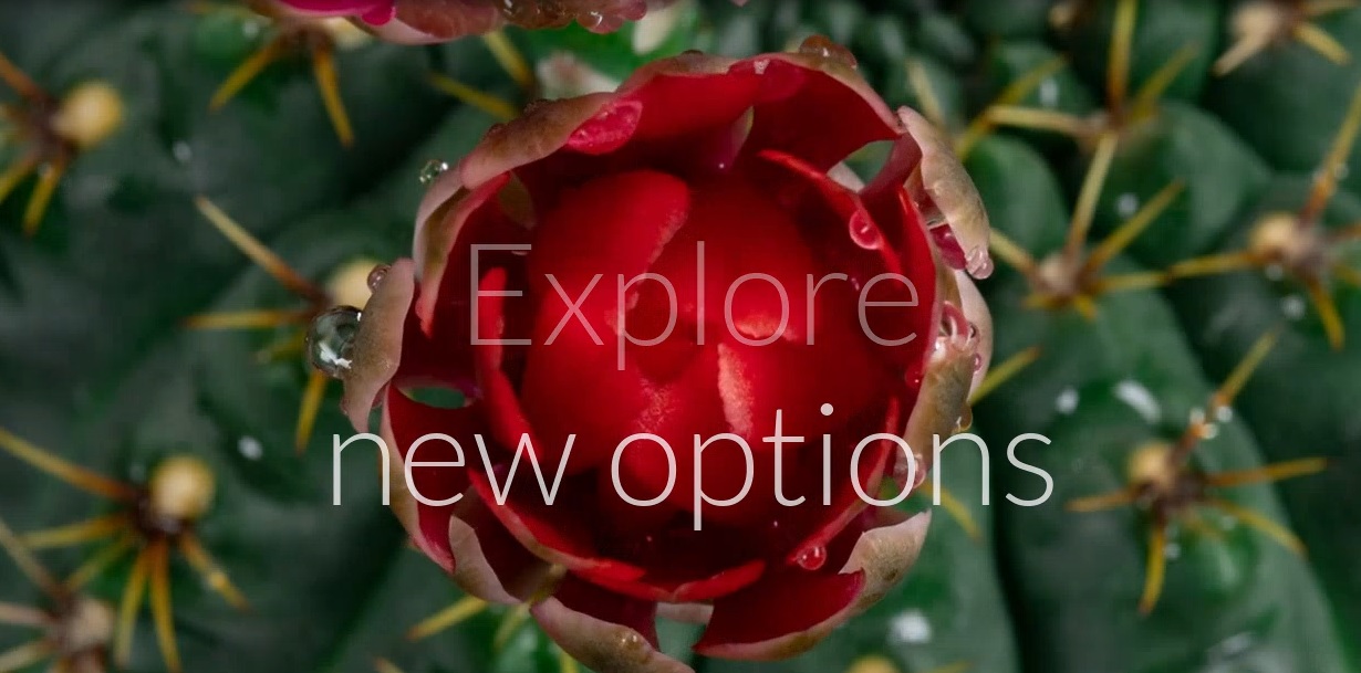 Explore New Options