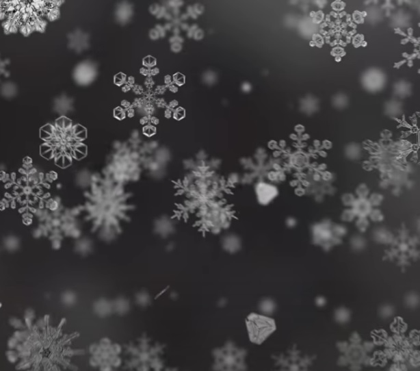 Unique Snowflakes