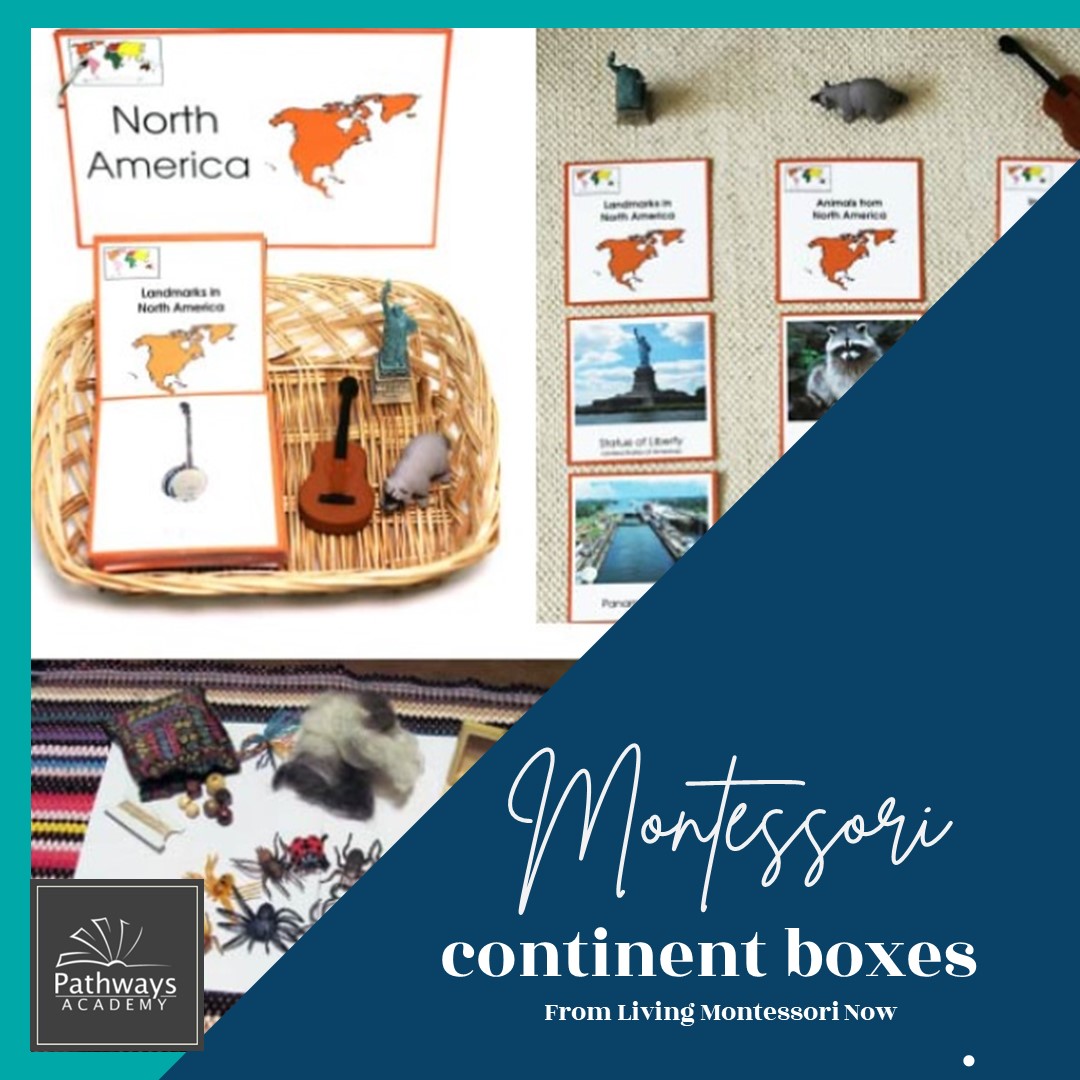 Montessori Continent Boxes
