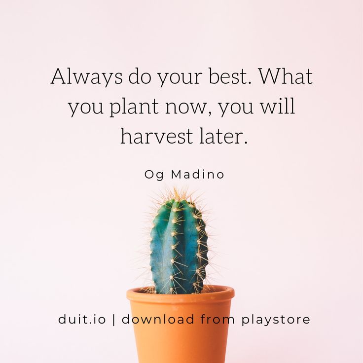 Always Do Your Best