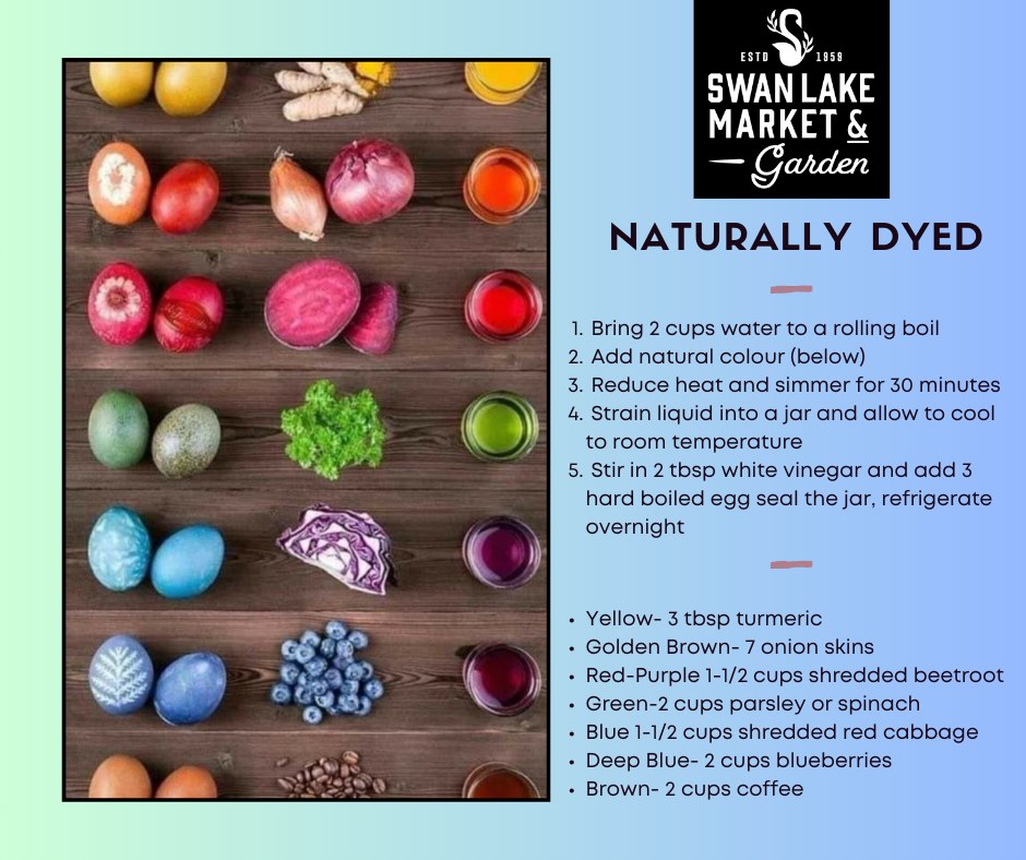 Natural Dyes Easter Eggs